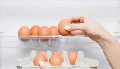 Langzeitlagerung von Eiern