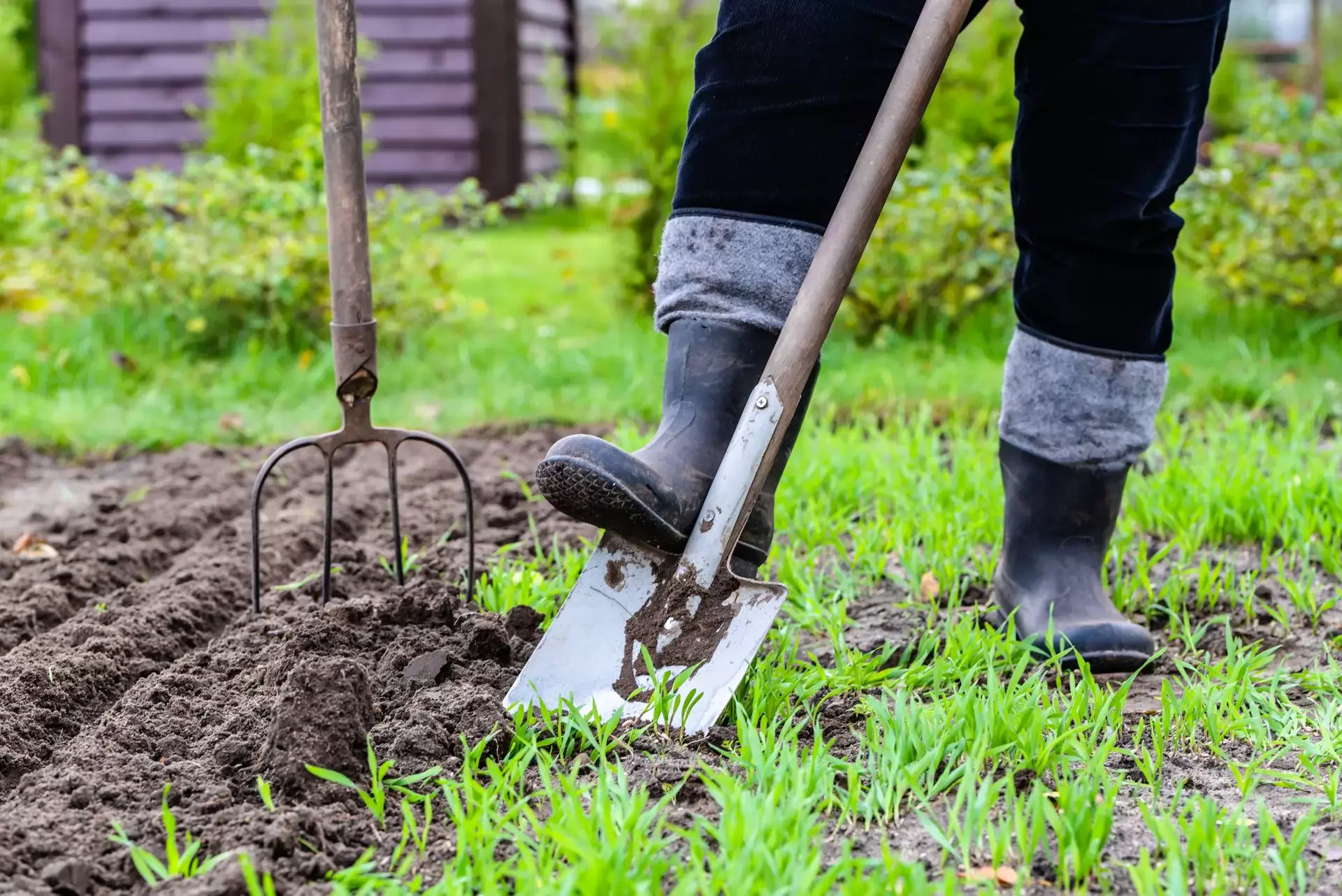 Wie man einen Garten gräbt