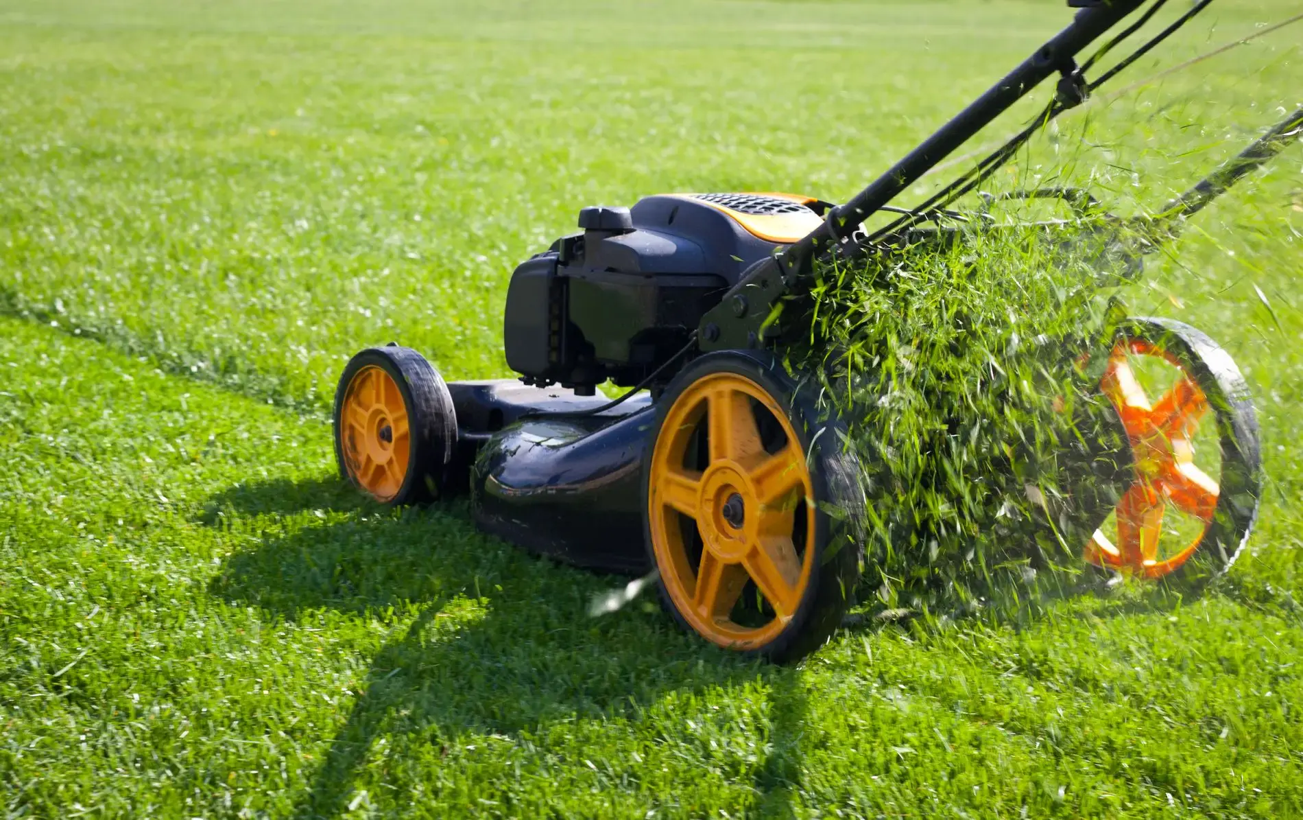 Hilfe, das Gras wächst! Nehmen Sie den richtigen Benzin-Rasenmäher zur Hand, um das Gras flach zu halten! 