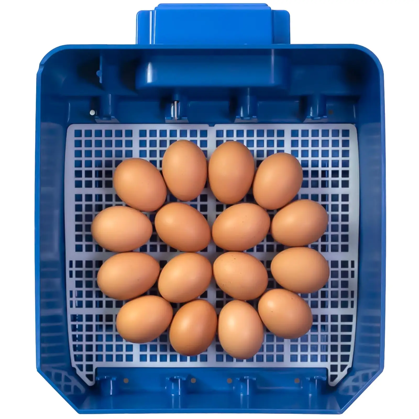 Brutapparat - 16 Eier - inklusive Bewässerungssystem - vollautomatisch - antimikrobieller Biomaster-Schutz
