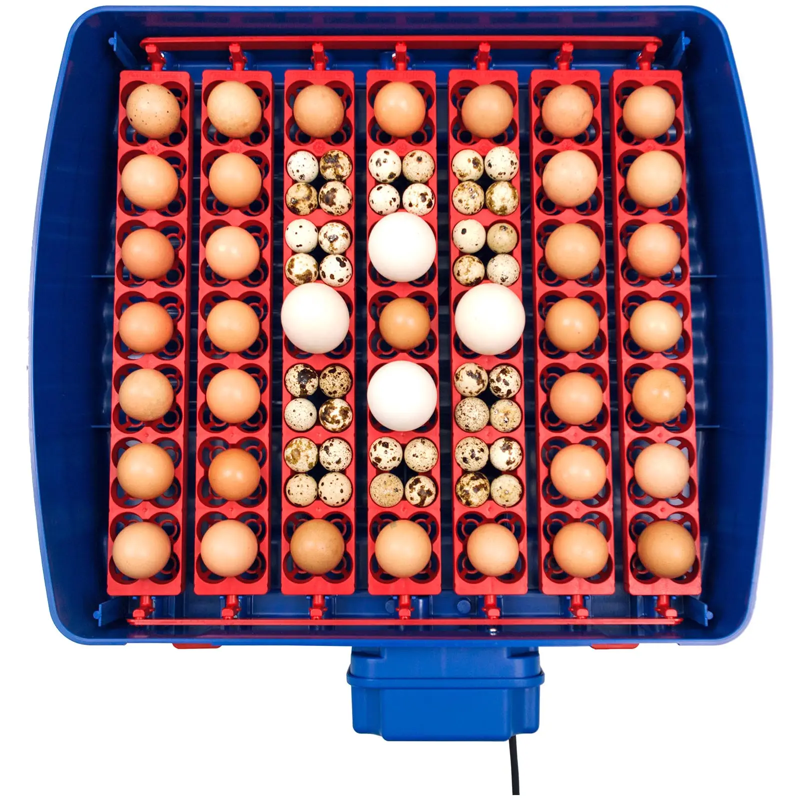 Brutapparat - 49 Eier - inklusive Bewässerungssystem - vollautomatisch - antimikrobieller Biomaster-Schutz