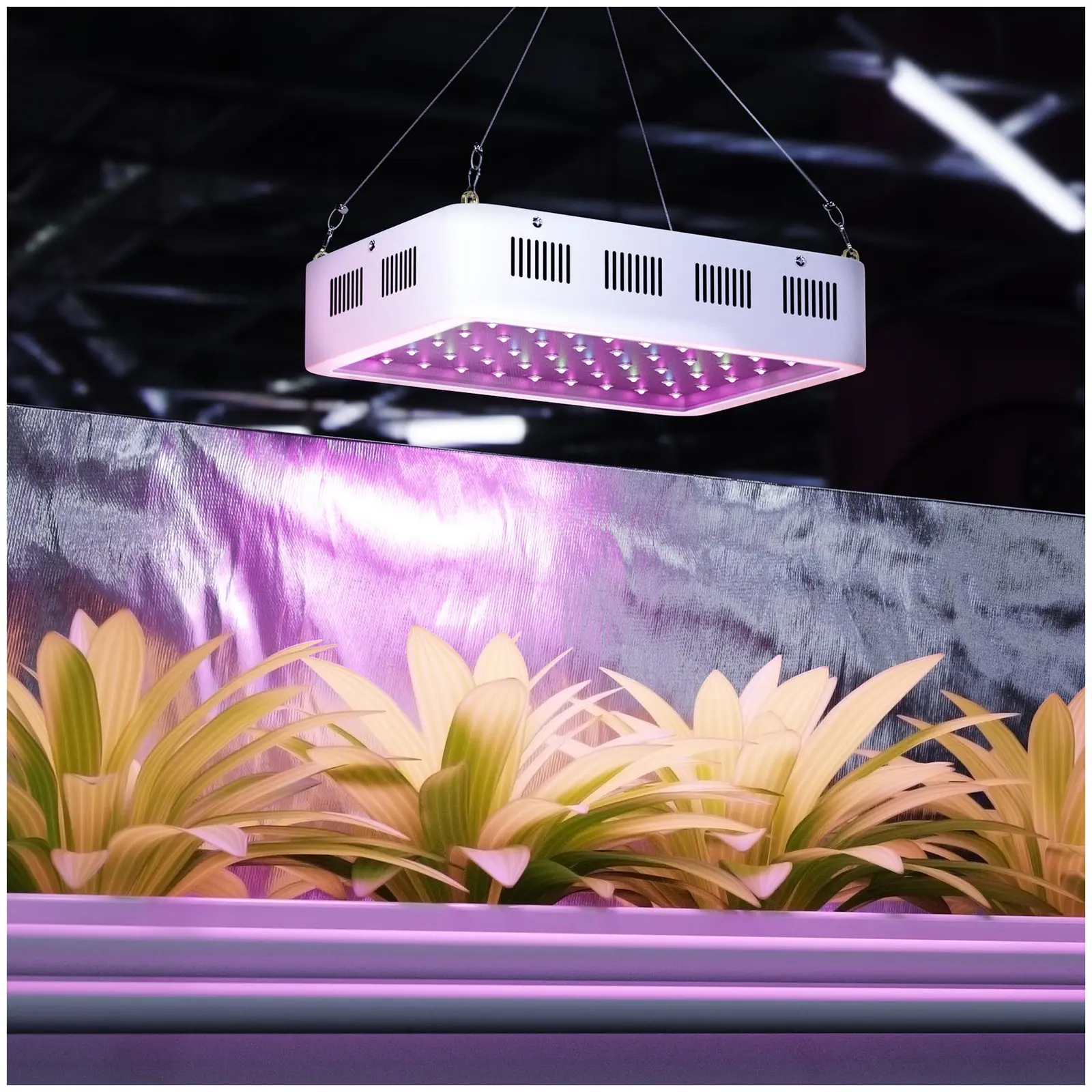 LED-Pflanzenleuchte - 600 W - 3.000 Lumen