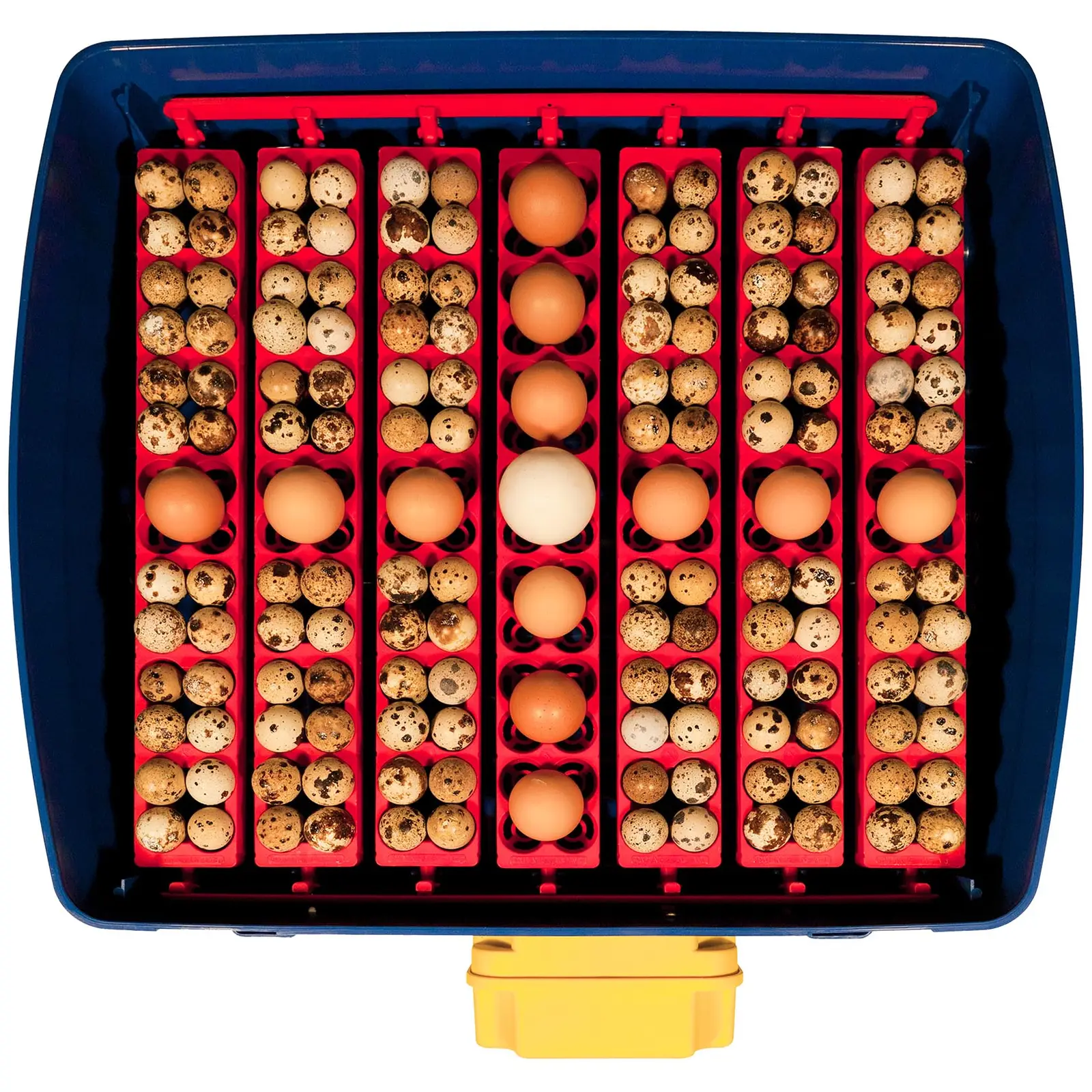 Brutapparat - 49 Eier - inklusive Bewässerungssystem - vollautomatisch
