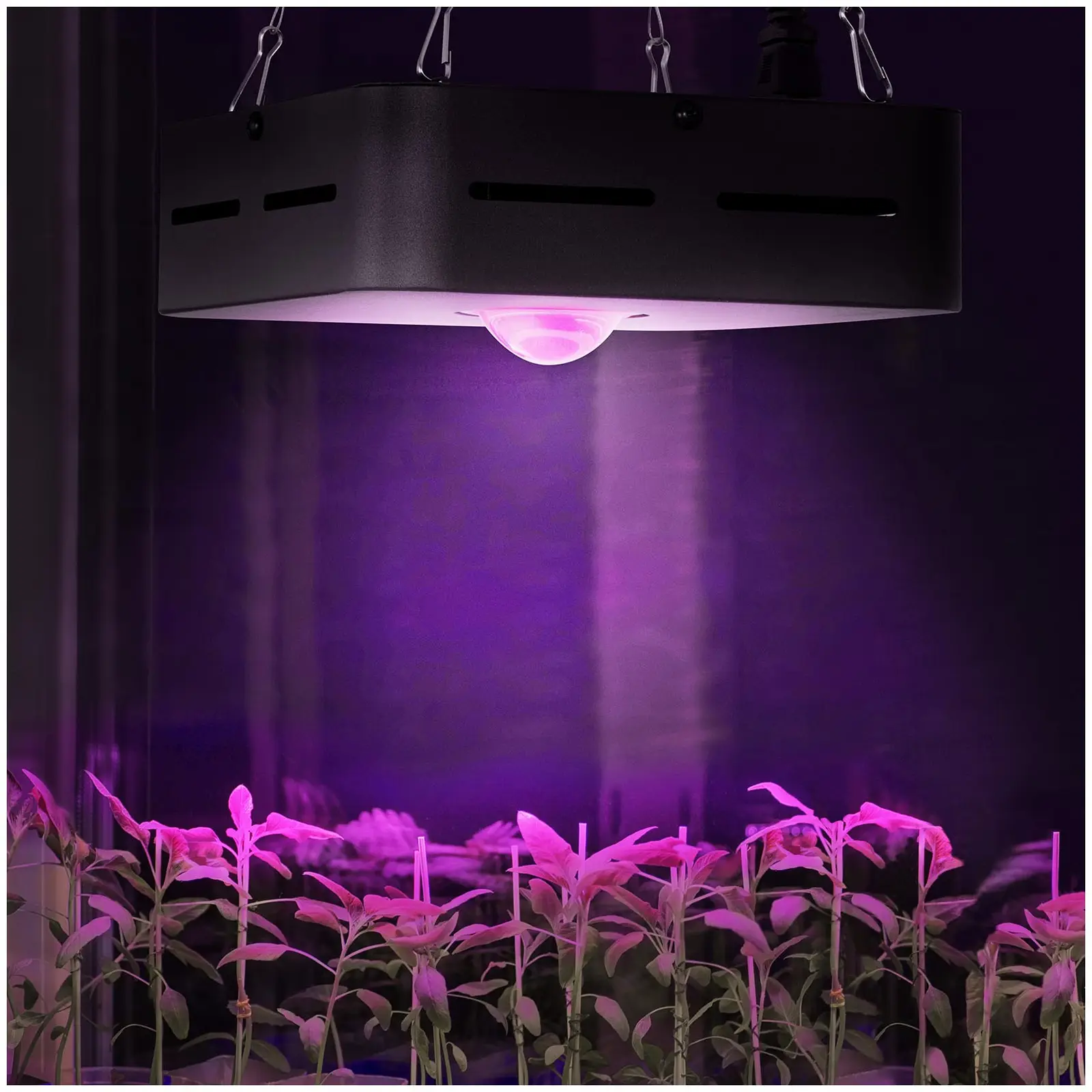 LED-Pflanzenlampe - Vollspektrum - 50 W - 1 LED - 4.200 Lumen